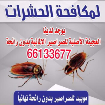 مكافحة حشرات - مكافحة حشرات الكويت 66133677